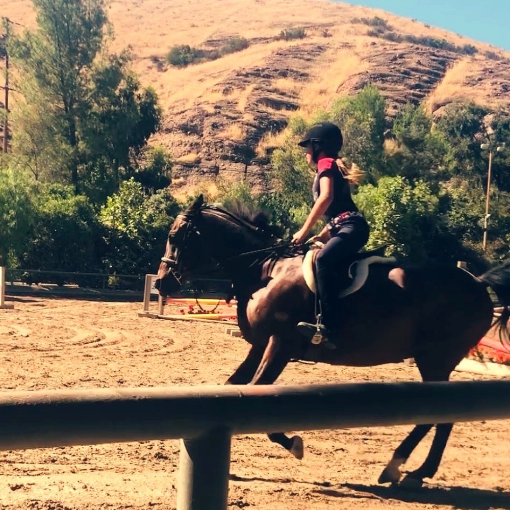 ISO horse tack